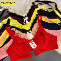 دانتل  استرج فنردار پروانه