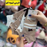 جوراب مچی خرس قهوه ای(12جفتی )