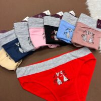 شورت سینولوگ گربه کد 94001(یک جین3 سایز)